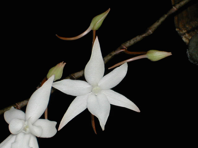 http://www.huyphong.com/gallery/gal/1_27_2005/20127122838.jpg